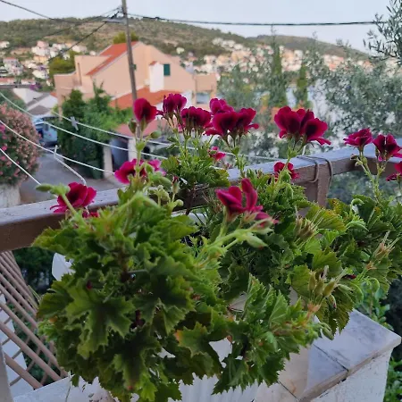 Apartmán Villa Green *